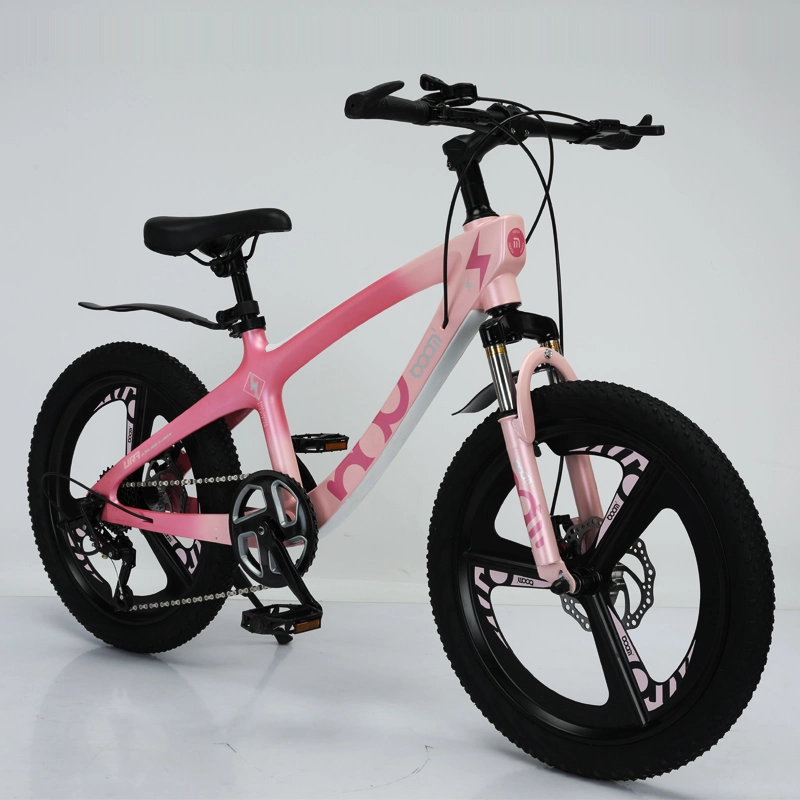 20 Inch Mountain Bike Mg Alloy Frame Suspension Bicycle Hebei Factory