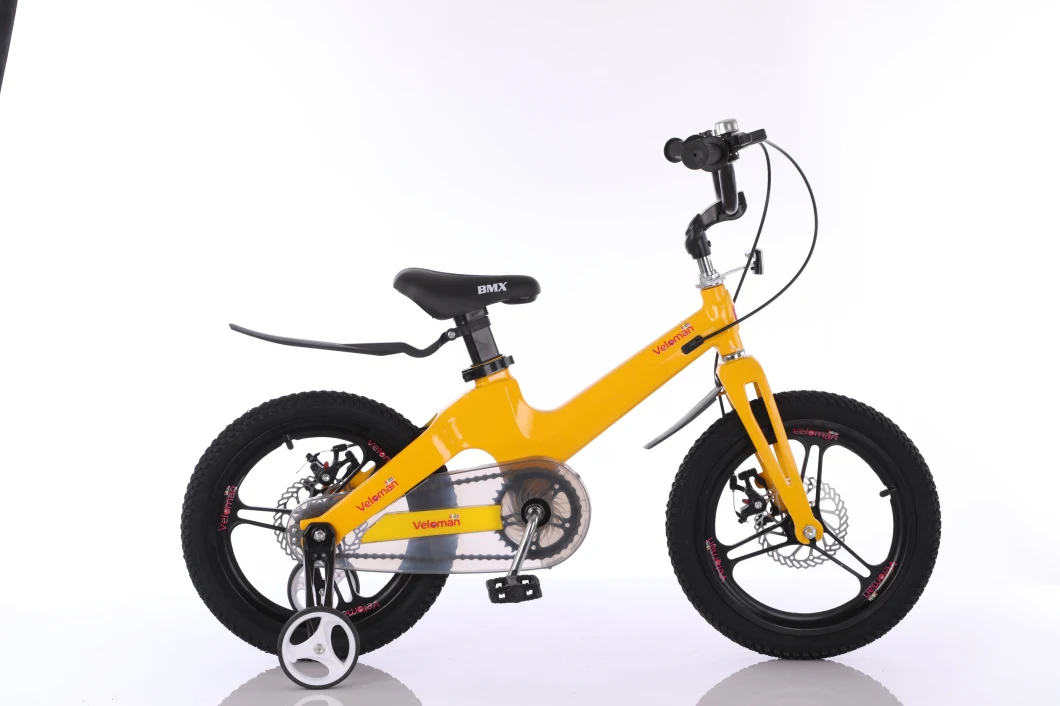 18&quot; 20&quot; Hot Sale Magnesium Alloy Children Bicycle /Kids Bike SL