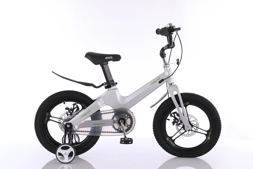 18&quot; 20&quot; Hot Sale Magnesium Alloy Children Bicycle /Kids Bike SL